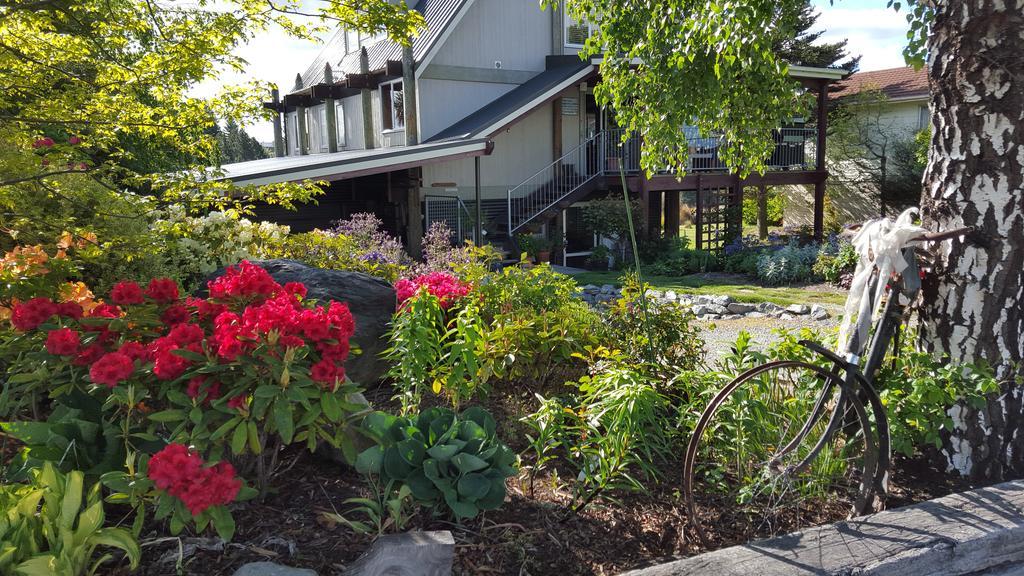 Marie Therese Apartment B&B Lake Tekapo Exterior foto